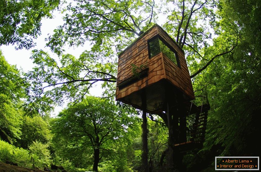 Domek na drzewie od Takashi Kobayashi (Япония)