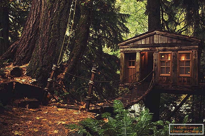Treehouse in Seattle (Seattle, Stany Zjednoczone)