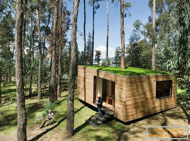 Mały dom w lesie z mech dachem