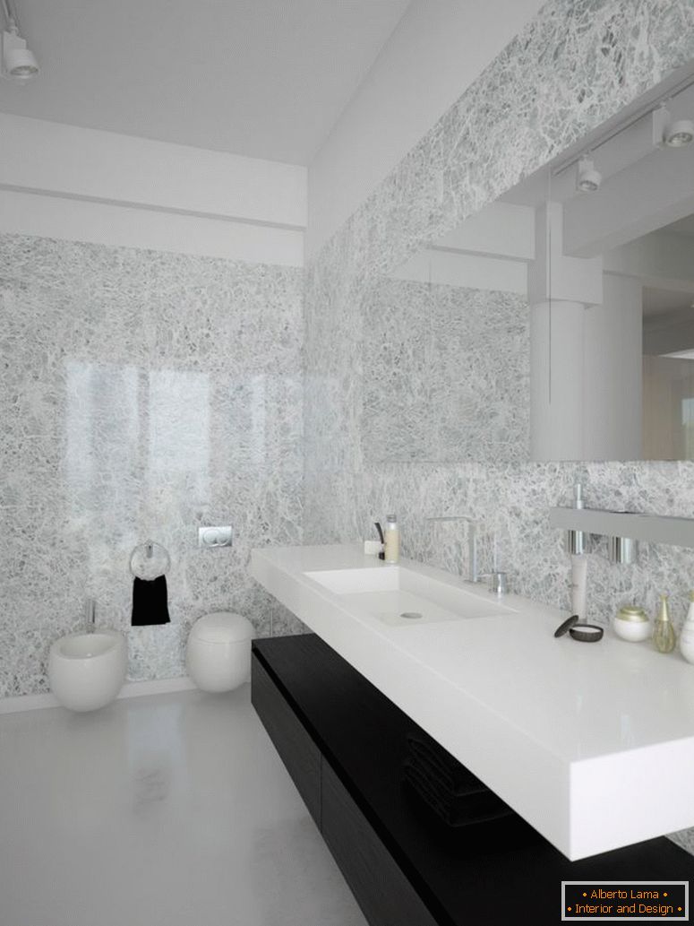 black-white-contemporary-kąpielroom-design