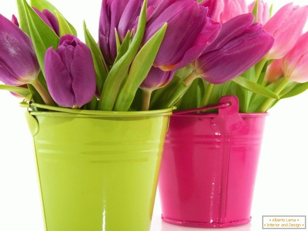 Tulipany w kolorowych wiaderkach
