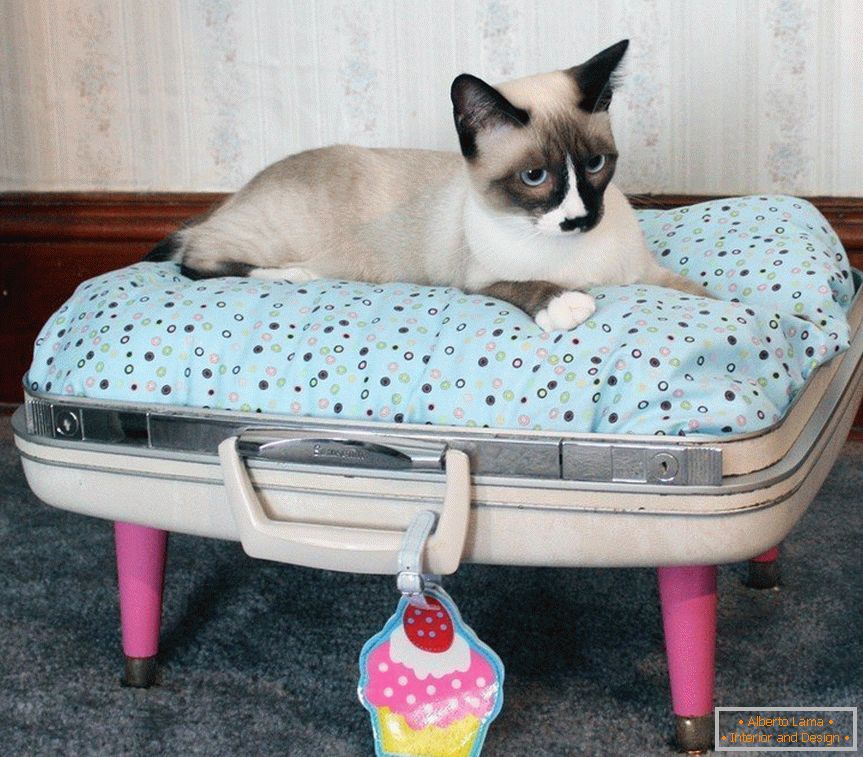 Łóżko dla zwierząt domowych z walizki