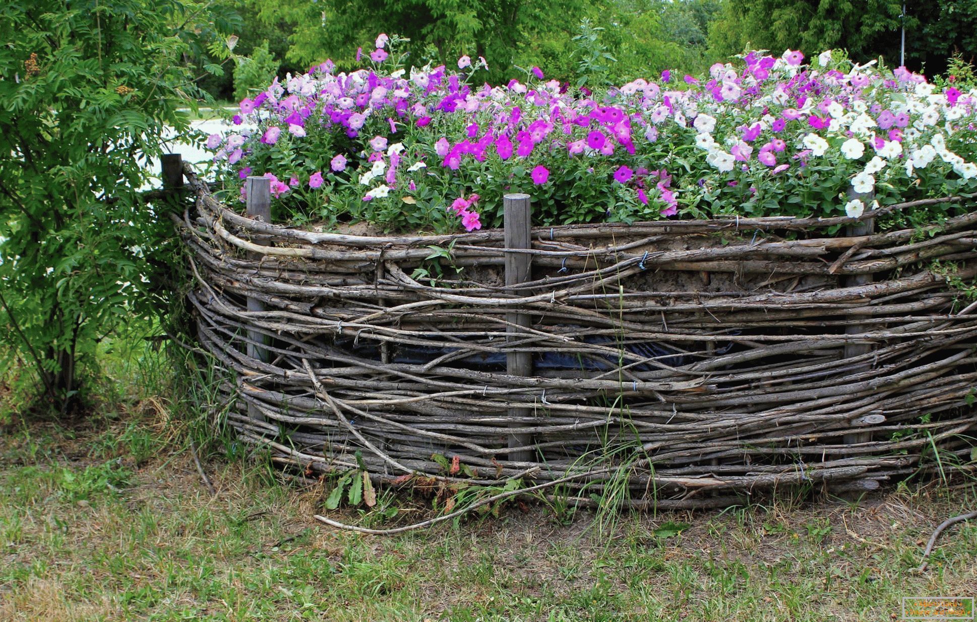 Łozinowy ogrodzenie dla kwiatu łóżka