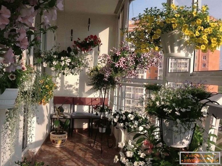 Balkon z kwiatami