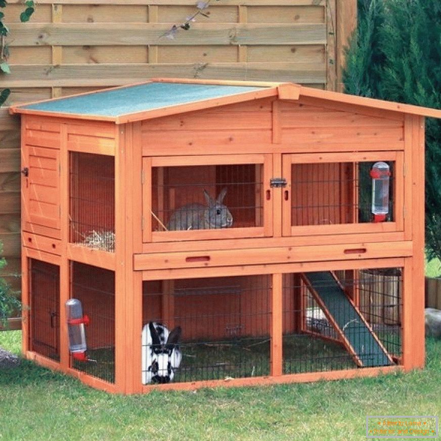 Dom dla królików