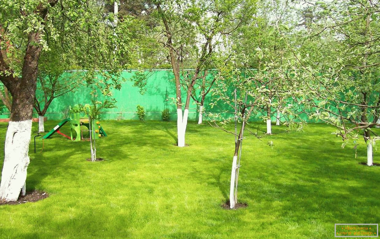 Ogród na działce o powierzchni 12 hektarów