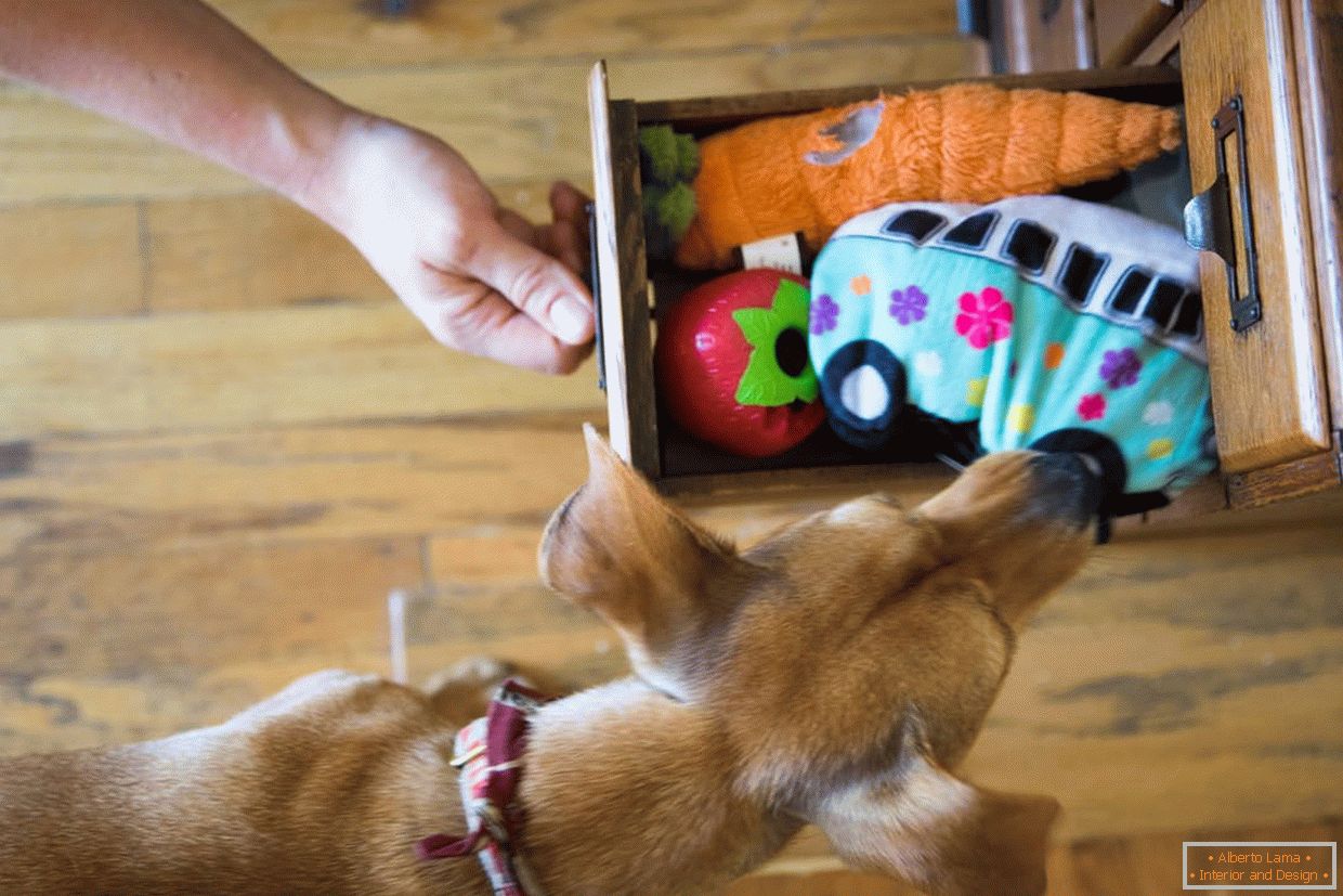 Pudełko z zabawkami dla psów