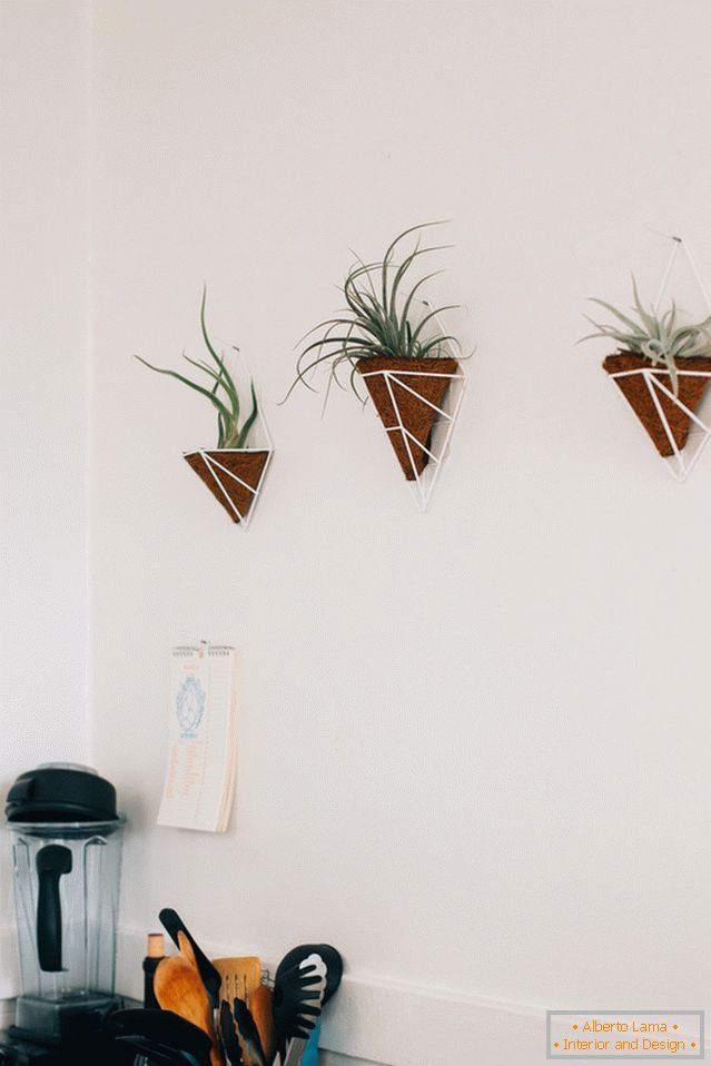 Rośliny na ścianie