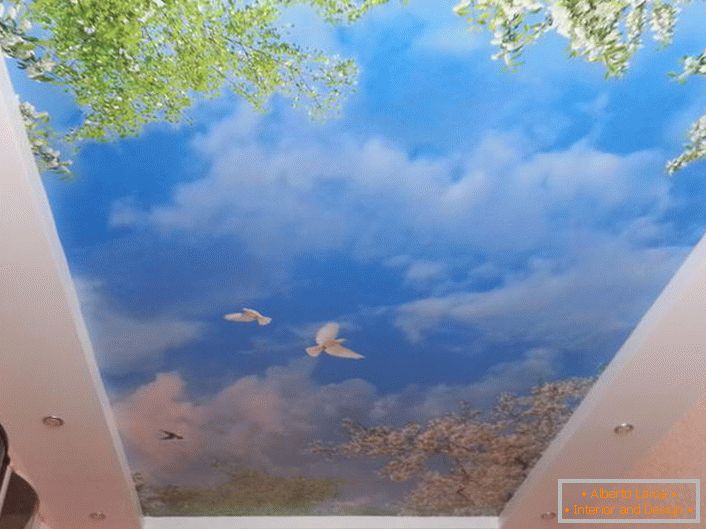Sufity naciągane z nadrukiem fotograficznym są odpowiednie w każdym pokoju. Harmonijny obraz błękitnego nieba z białymi gołębiami będzie wyglądał szczególnie atrakcyjnie w pokoju gościnnym.