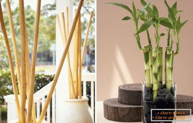 Bambus jako dekoracja