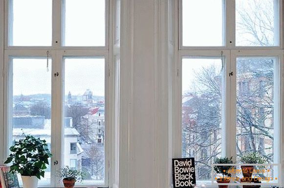 Dekoracja okien z książkami i roślinami domowymi