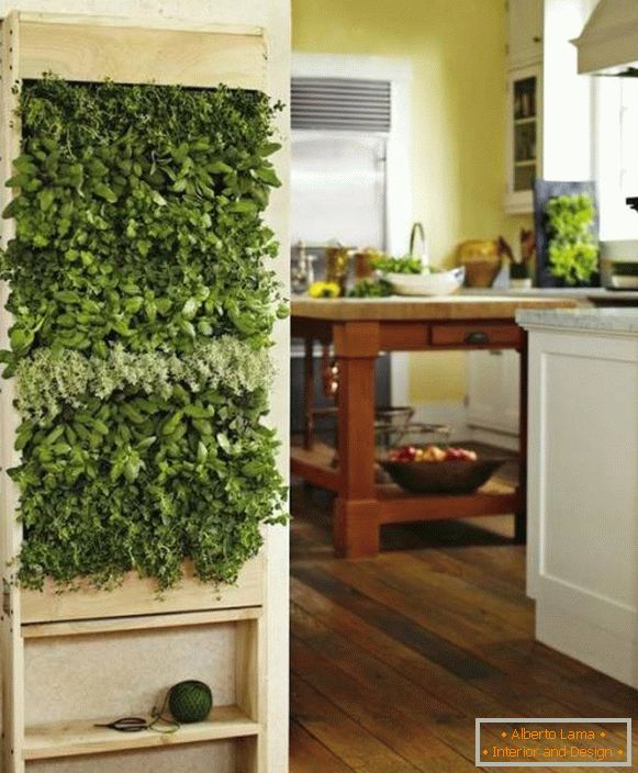 Zielone rośliny w kuchni