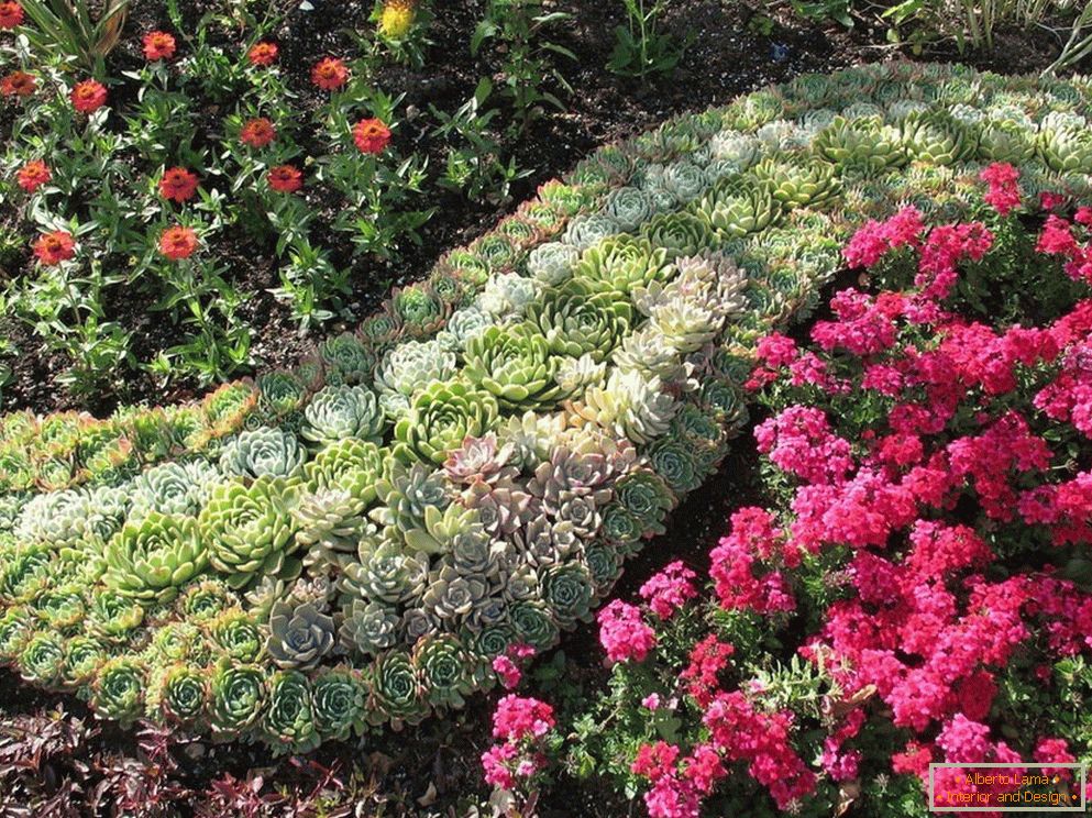 Dekoracja kwiatu ogrodu