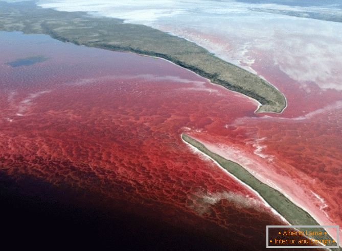 Jaskrawa czerwona woda w jeziorze
