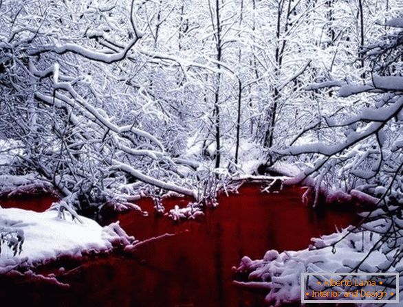 Krwionośne czerwone jezioro w Kanadzie
