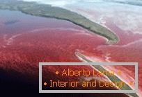 Niezwykłe czerwone jezioro w północnej Kanadzie