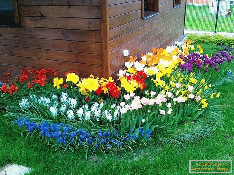 Przedni ogród z jasnymi kwiatami przed domem