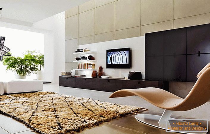 Naturalny wybór do salonu: modułowa ściana i sofy. Specjalnym chipem wnętrza jest ergonomiczna siedzisko.