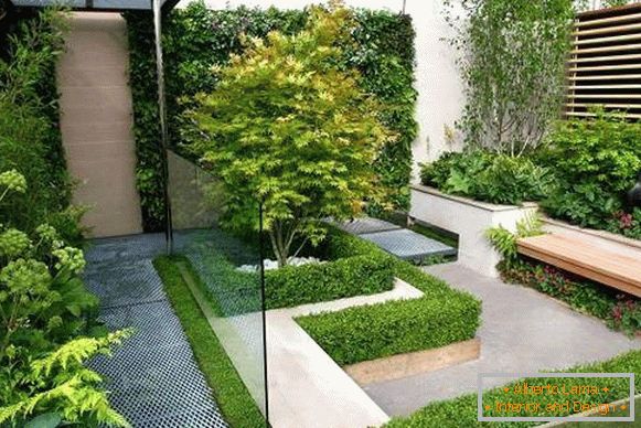 Czysty minimalistyczny design działki ogrodowej