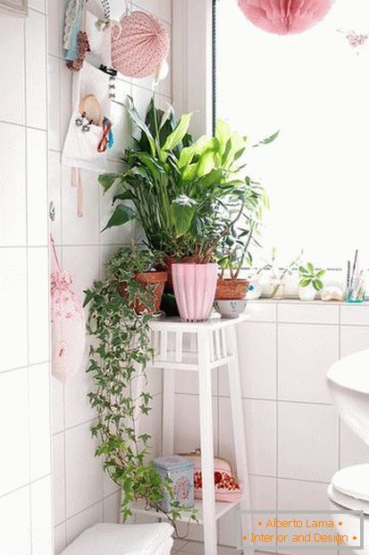 Rośliny w rogu łazienki
