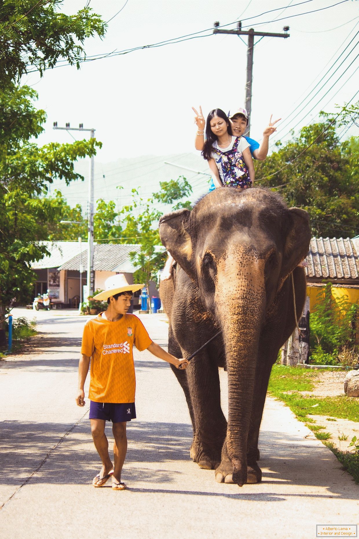 Podróżując na słoniu