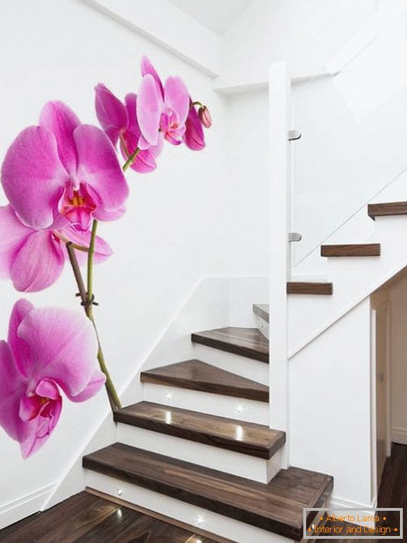 Zdjęcia orchidei na schodach