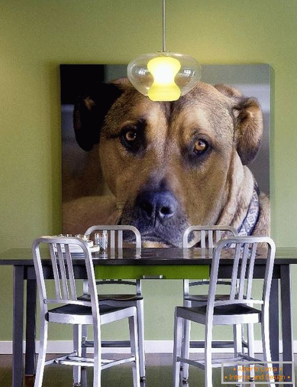 Zdjęcie psa jako dekoracja ściany