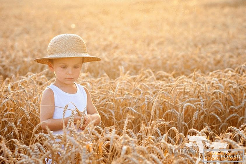 Dziecko w polu pszenicy