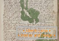 Tajemniczy manuskrypt Voynicha
