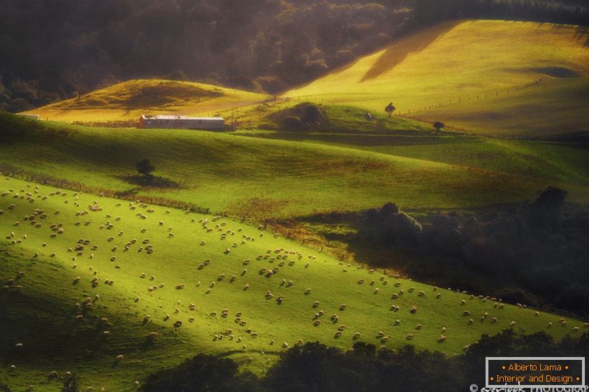 Krajobrazy Nowej Zelandii Dylan Toh