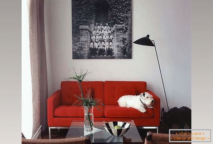 Czerwona sofa w małym salonie