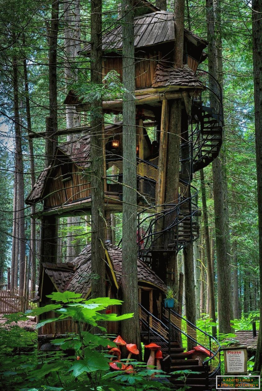 Three Story Treehouse (Kolumbia Brytyjska, Kanada)