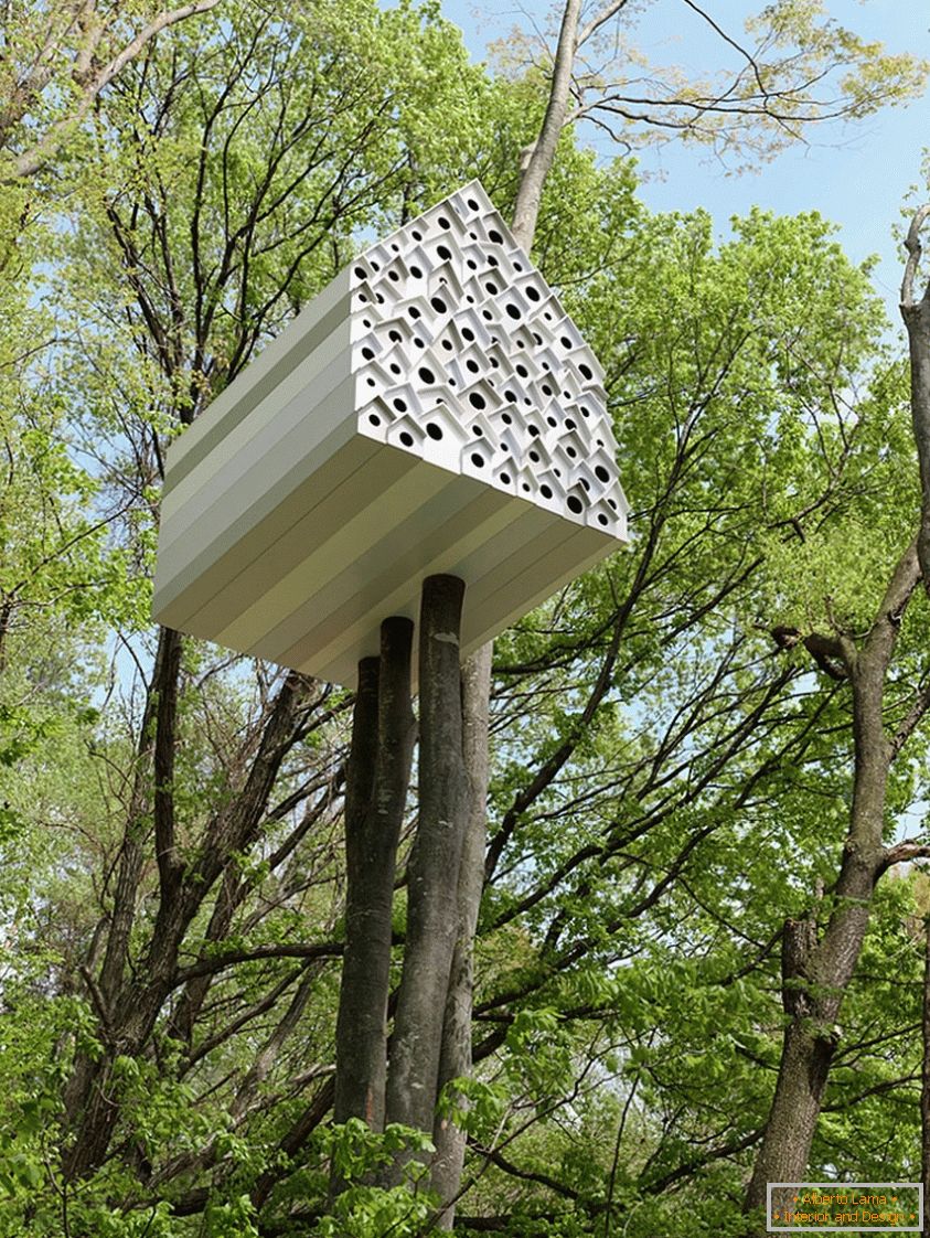Domek na drzewie dla ptaków i ludzi (Япония)