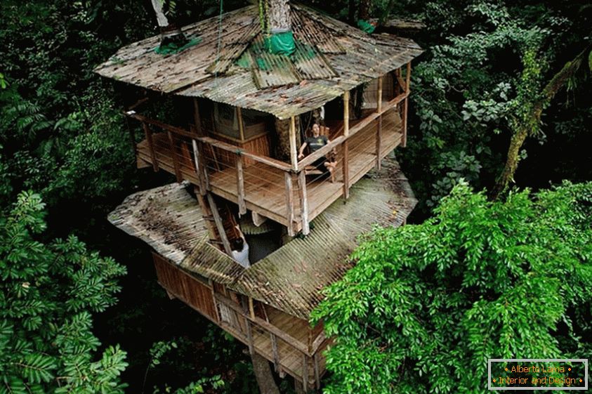 Ekologiczna Finca Bellavista Treehouse (Коста Рика)