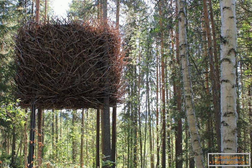 The Bird's Nest Tree House (Швеция)