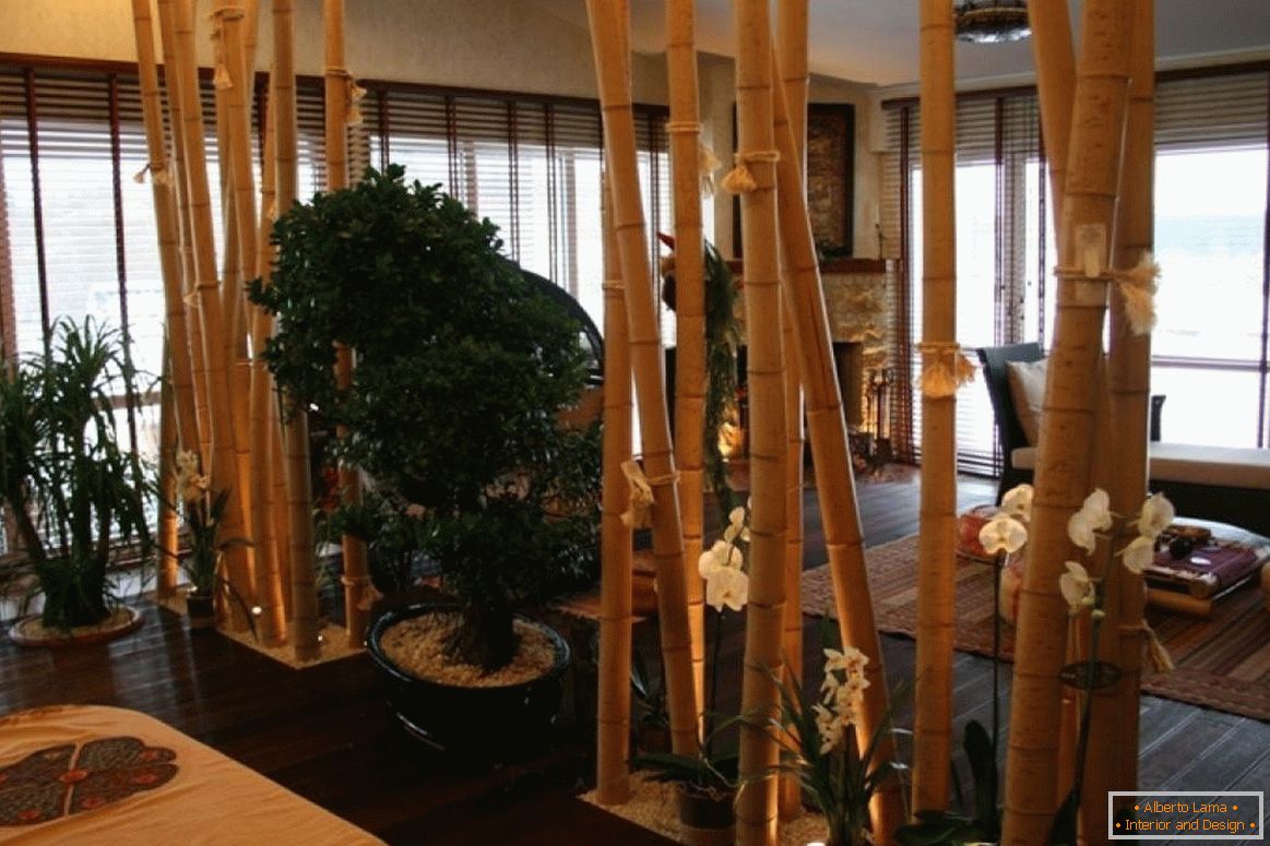 Partycja bambusowa