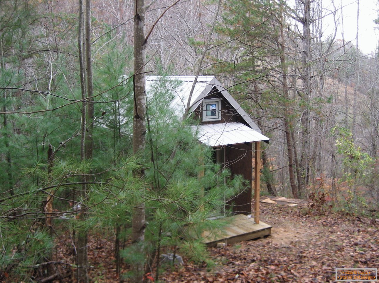 Mały dom w lesie