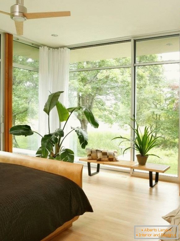 Duże okna i rośliny doniczkowe w sypialni