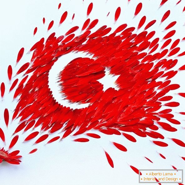 Flaga Turcji z płatków kwiatów