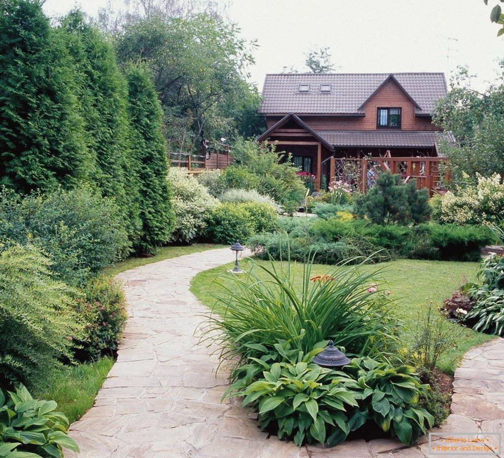Mały ogród na podwórku