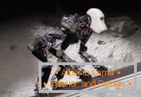 iStruct: robot do kolonizacji księżyca