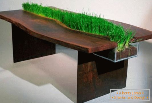 Dekoracja stołu przez rośliny