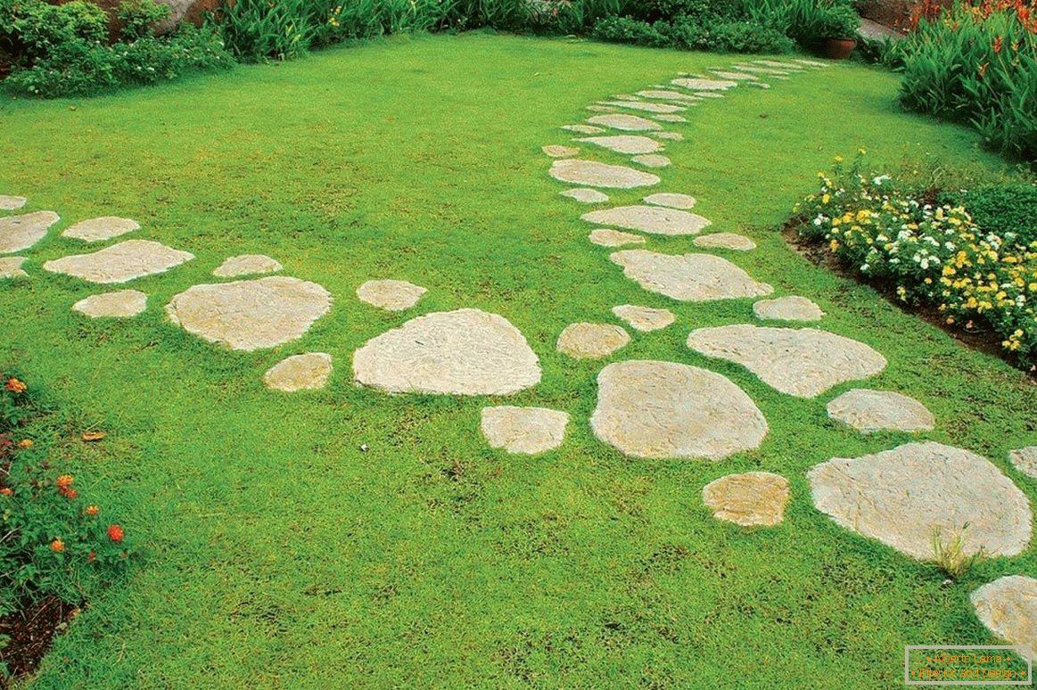 Kamienna ścieżka na trawniku