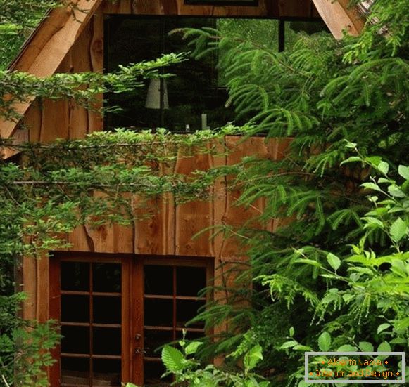 Mały leśny dom (zdjęcie), США