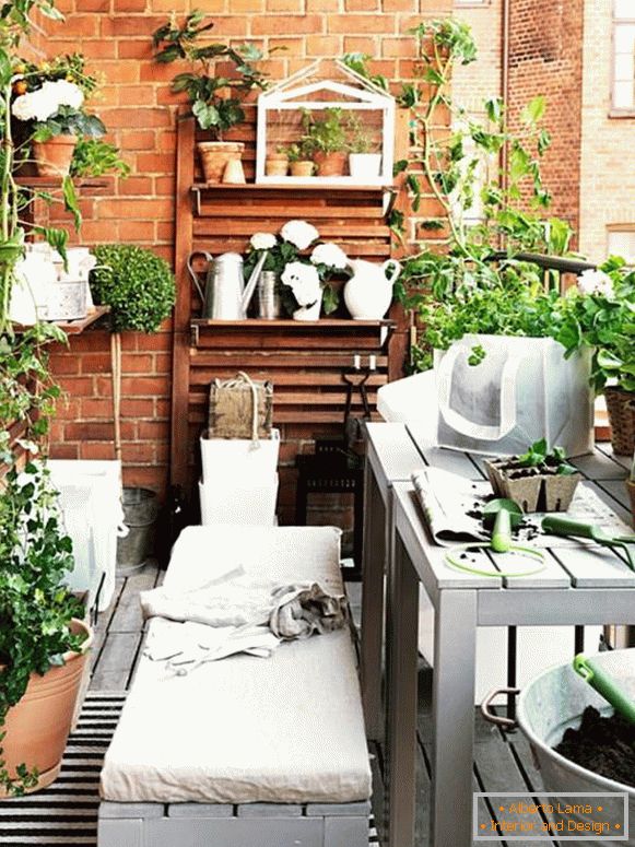 Balkon z roślinami domowymi