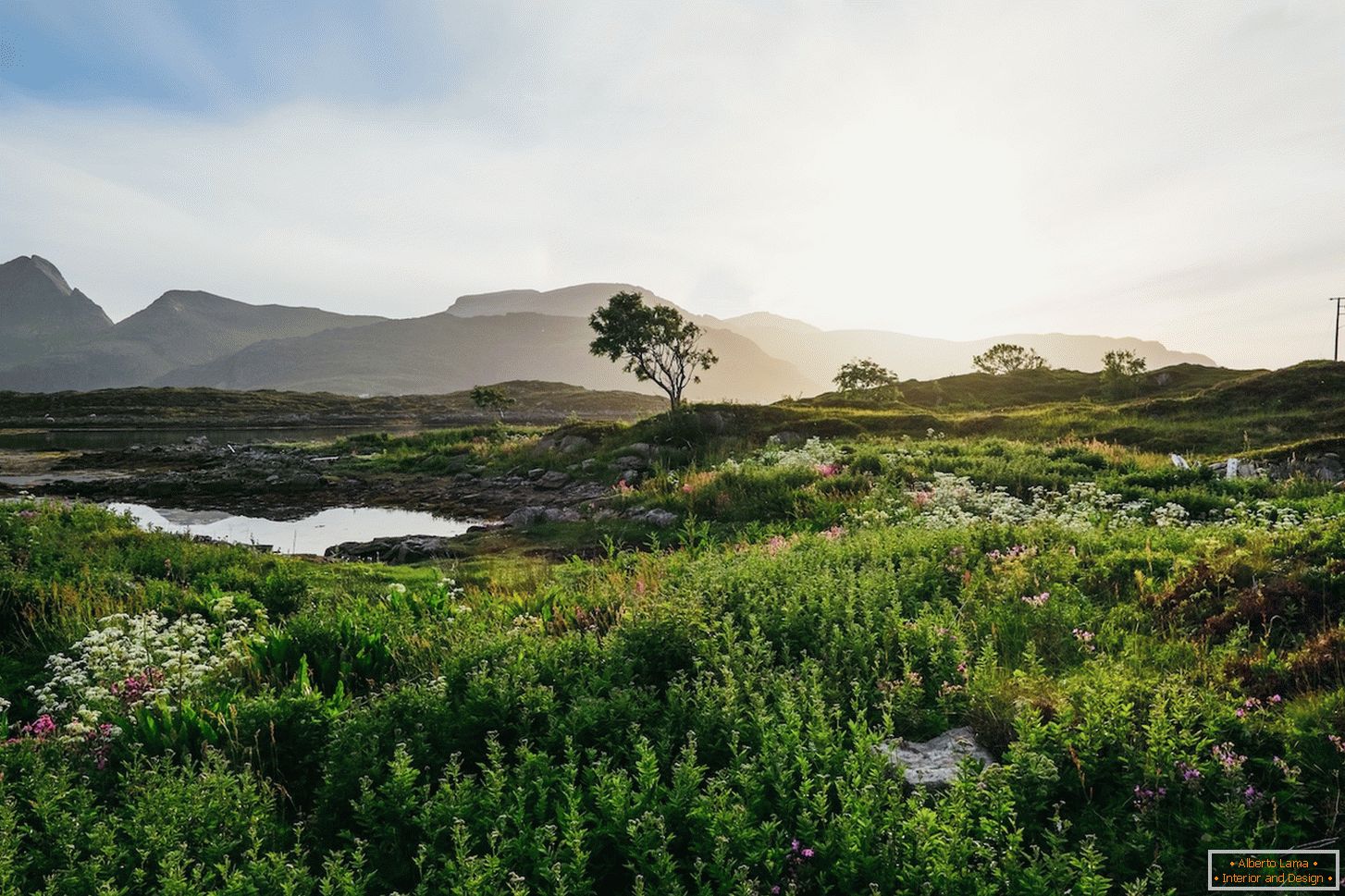 Soczysty krajobraz pól Norwegii