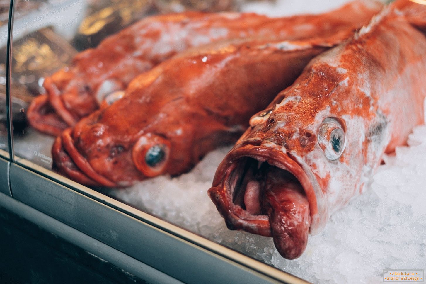 Мороженная рыба на рынке в Biorąc pod uwagęе