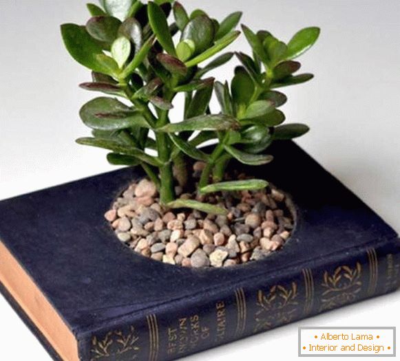 Garnek roślin z książki