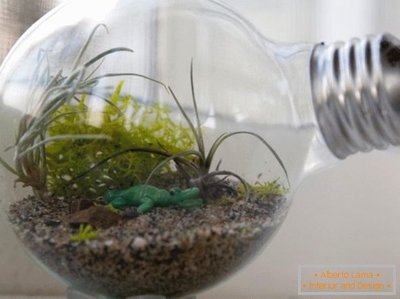 Pomysł na małe terrarium w domu
