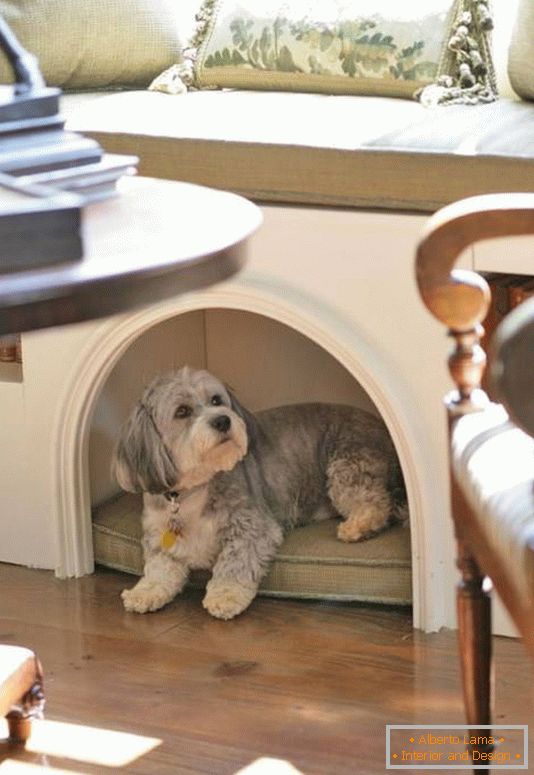Przytulny dom dla psa w mieszkaniu